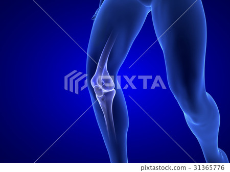 Knee Pain. Blue Human Anatomy Body 3D render on 31365776