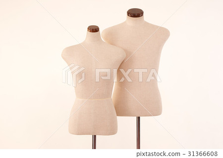 男女軀幹 男女軀幹 31366608