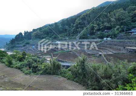 Rice terrace of Samukawa Rice terrace of Samukawa 31366663