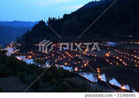 Akari in the rice terrace 31366695