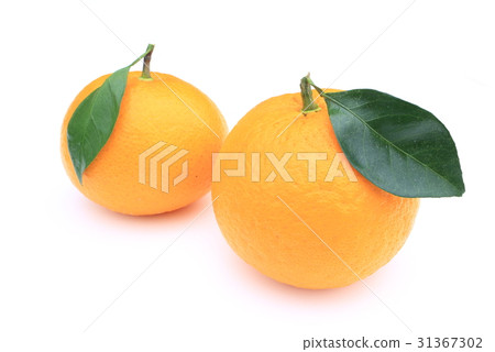 Sweet summer 31367302