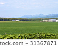 Peaceful rural scenery in Shari-cho and Shiretoko mountain range 31367871