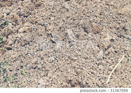 Soil texture background. 31367899