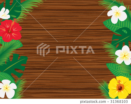 熱帶框架材料 31368103