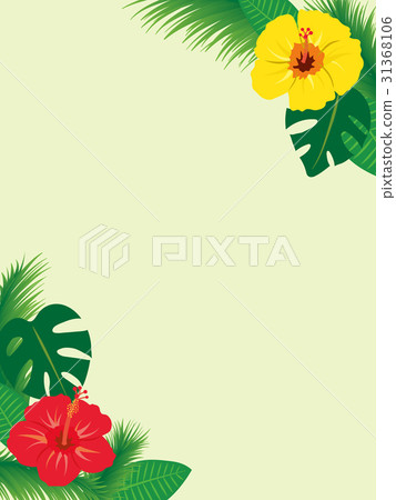 熱帶框架材料 31368106