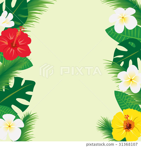 熱帶框架材料 31368107