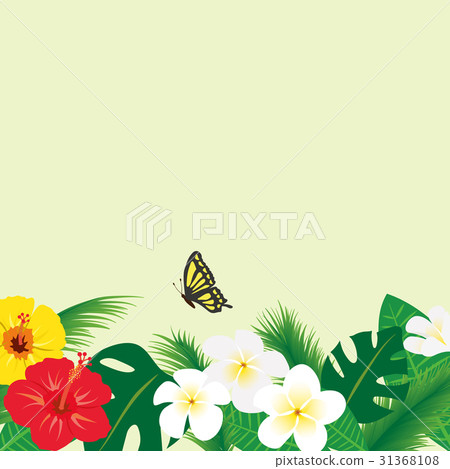 熱帶框架材料 31368108