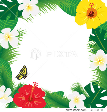 熱帶框架材料 31368109