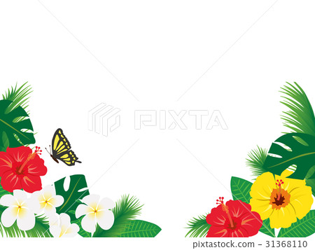 熱帶框架材料 31368110