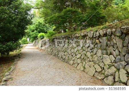 興福寺的初夏是八王子市 31368595