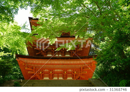 Blue maple hanging over Joruri-ji and triple tower 2 31368746