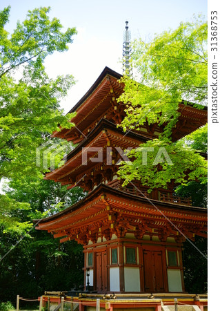 Joruri-ji, triple tower and blue maple 2 Joruri-ji, triple tower and blue maple 2 31368753