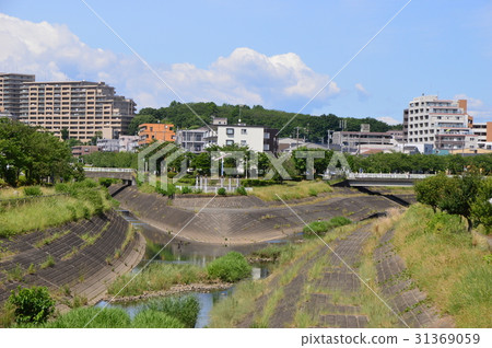 Ooguri河的初夏看起來像八王子市 31369059
