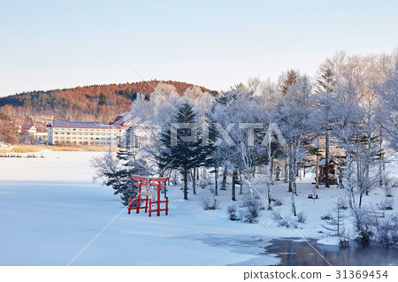 Lake Shirakaba in early morning winter 31369454