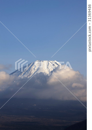 Mt. Fuji seen from Lake Motosu 31369486