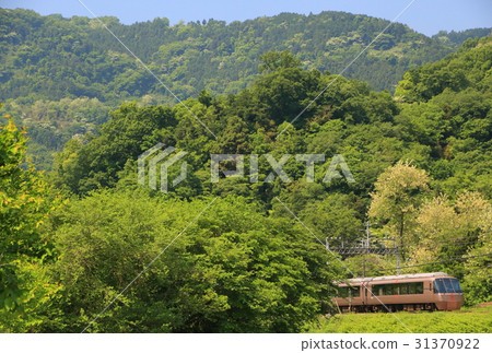 小田急浪漫車EXE和新鮮的綠色 31370922