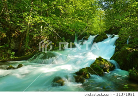 Oirase stream 31371981