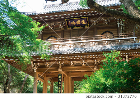 Kōsanji廟門 31372776