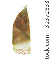 Bamboo shoots bamboo shoots takenoko 31372833