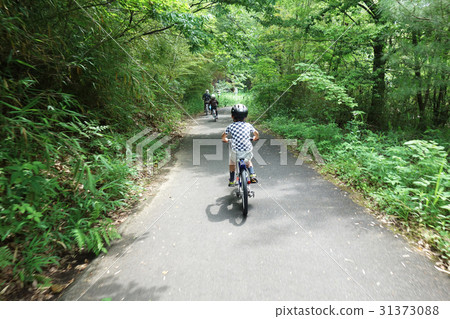 在Minooko Park騎自行車 在Minooko Park騎自行車 31373088