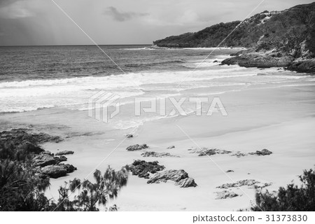 Pristine beachfront at North Point, Moreton Island 31373830