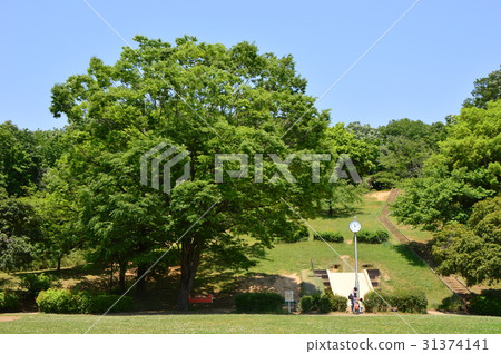 Kuboyama公園的初夏看起來像八王子市 31374141
