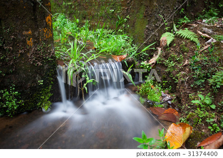 A small waterfall by the stone stairs in the 31374400