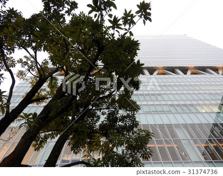 比爾和綠色 31374736