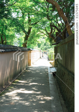 City of Nago Prefecture Roadside Pillow Crossroads 31375045