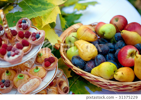 Path in the woods lined with boards 31375229