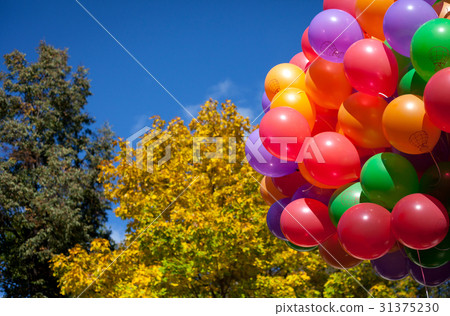 Balloons in autumn Park yellow in autumn Balloons in autumn Park yellow in autumn 31375230