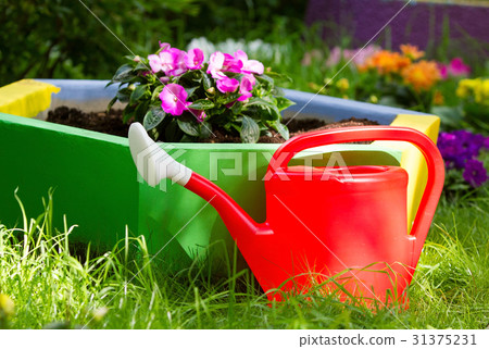 Bright garden lake in the Park Bright garden lake in the Park 31375231