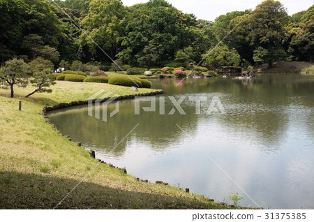 Tokyo Metropolitan Park Komagome: Strolling garden "Rikugien" Izumominato Tokyo Metropolitan Park Komagome: Strolling garden "Rikugien" Izumominato 31375385