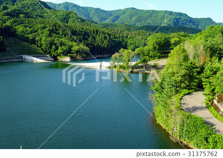 Tsugaru Shirakami湖的新鮮綠色（Miyama湖，津輕壩） 31375762