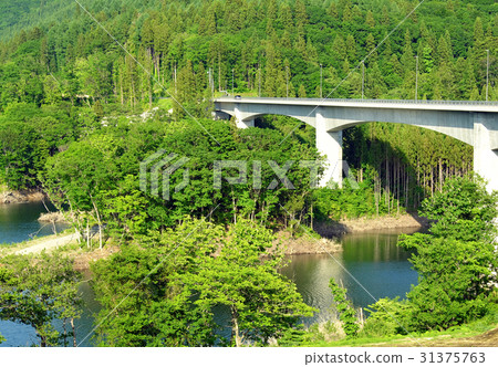 Tsugaru Shirakami lake of fresh green (Miyama Lake, Tsugaru Dam) 31375763