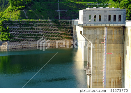 Tsugaru Shirakami lake of fresh green (Miyama Lake, Tsugaru Dam) 31375770