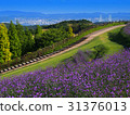 三個鱗片Garvenes山 31376013