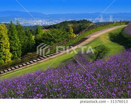 Hill of Three Scales Garvenes 31376013