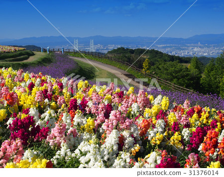 Awagi花場·遠離瀨戶大橋 31376014
