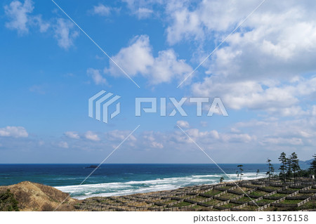 鳥取沙丘海 31376158