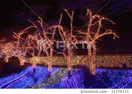 Illuminations show 31376315