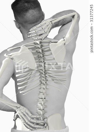 Digital composite of highlighted spine of man Digital composite of highlighted spine of man 31377245