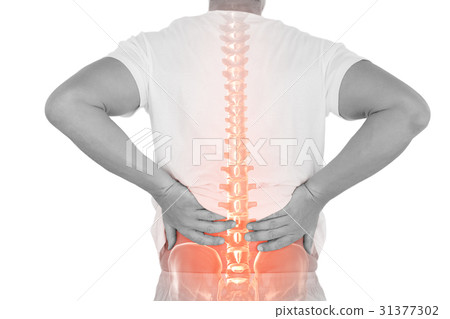 Digital composite of highlighted spine of man 31377302