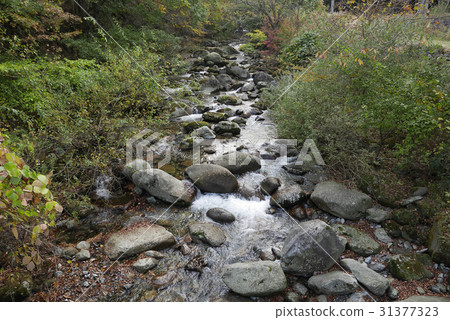 秋天的小溪 31377323