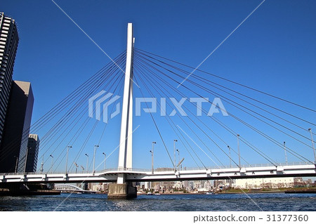 Sumidagawa's Line White Beautiful White Bridge Sumidagawa's Line White Beautiful White Bridge 31377360