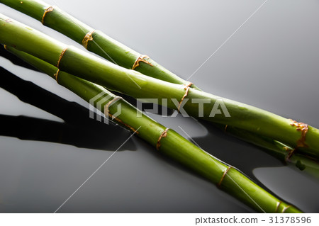 Water bomboo 31378596