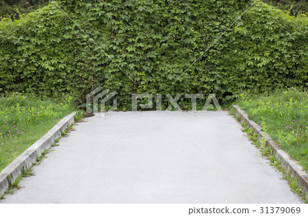 Dead End Road 31379069
