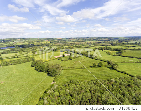 Aerial view of green farm land, postures, forest Aerial view of green farm land, postures, forest 31379413