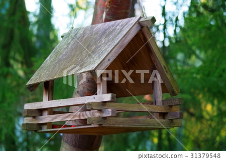 The wood house bird on the tree. 31379548