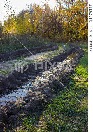 Messy rural dirt road 31379557